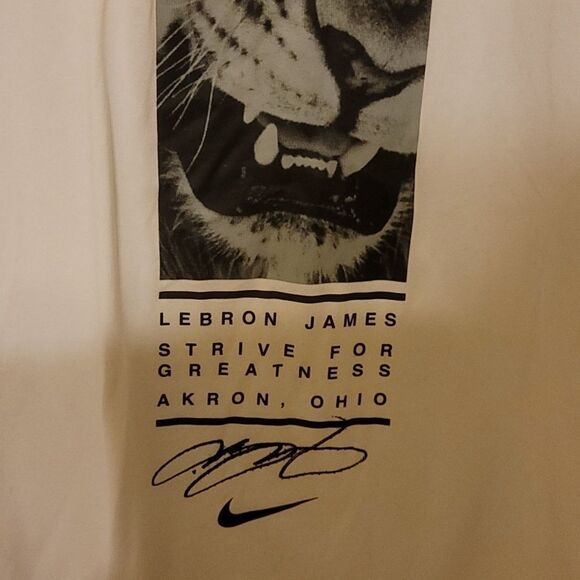 Nike LeBron James tshirt size large - Picture 3 of 9